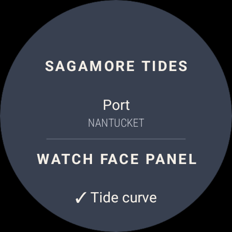 The top of the settings page: Port, then Watch face panel